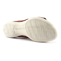 Ecco-Flash-243913 (WSA)