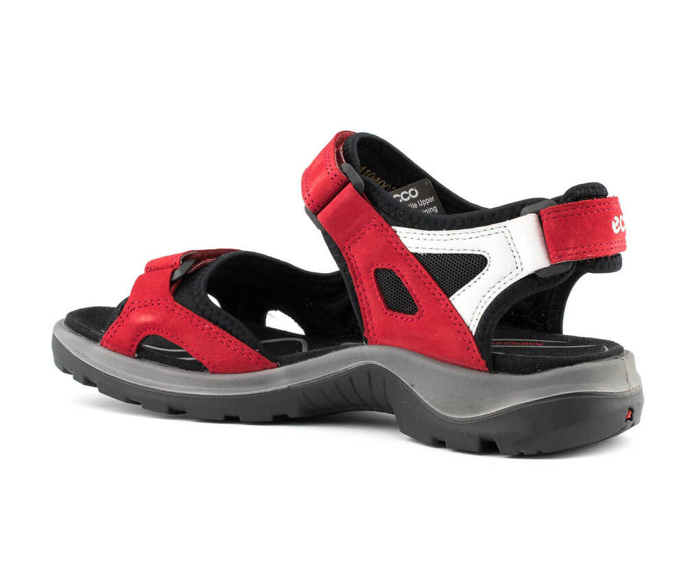 ECCO Offroad 069563