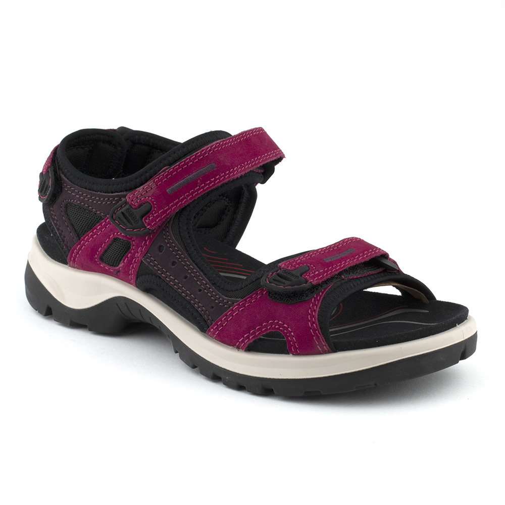 Buy ECCO Offroad 069563 | Stride Shoes