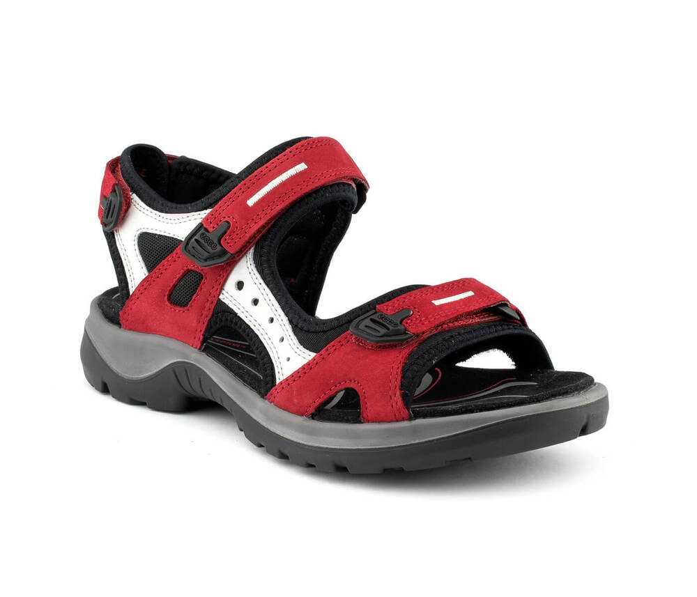 ecco offroad