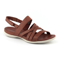 Ecco-Flash-243913 (WSA)