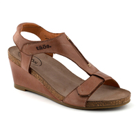Taos Sheila (WSA) (LPS)